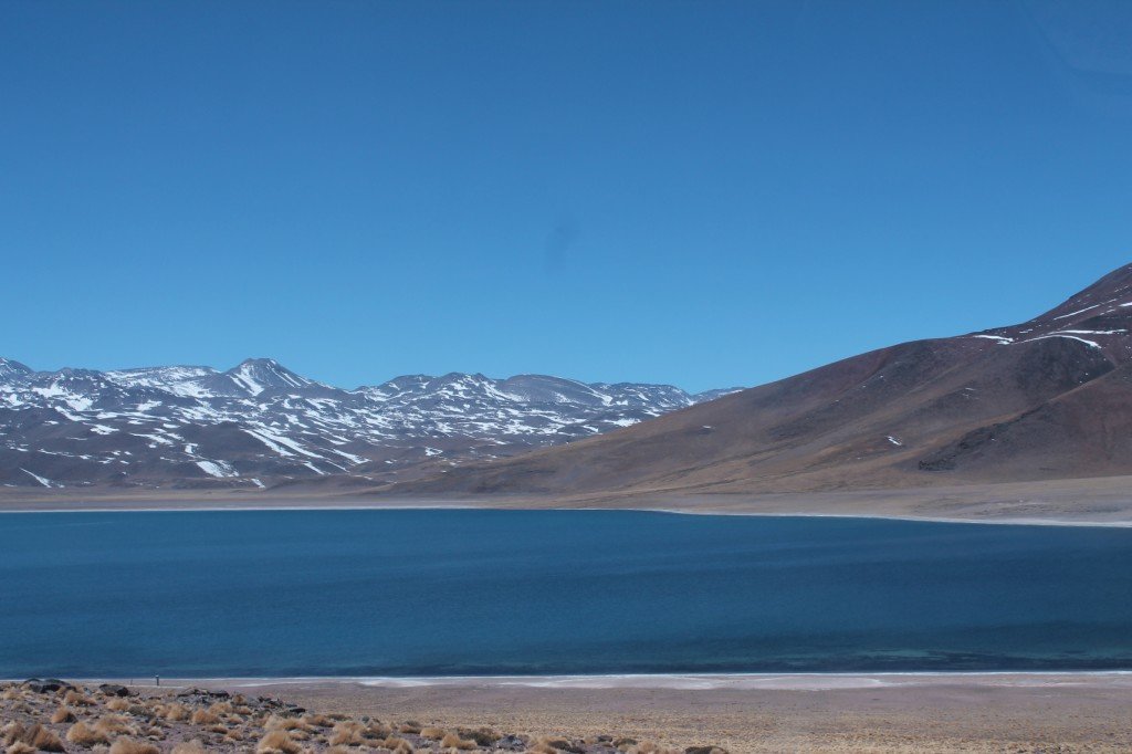 Toda a beleza das lagunas altiplânicas, no Atacama