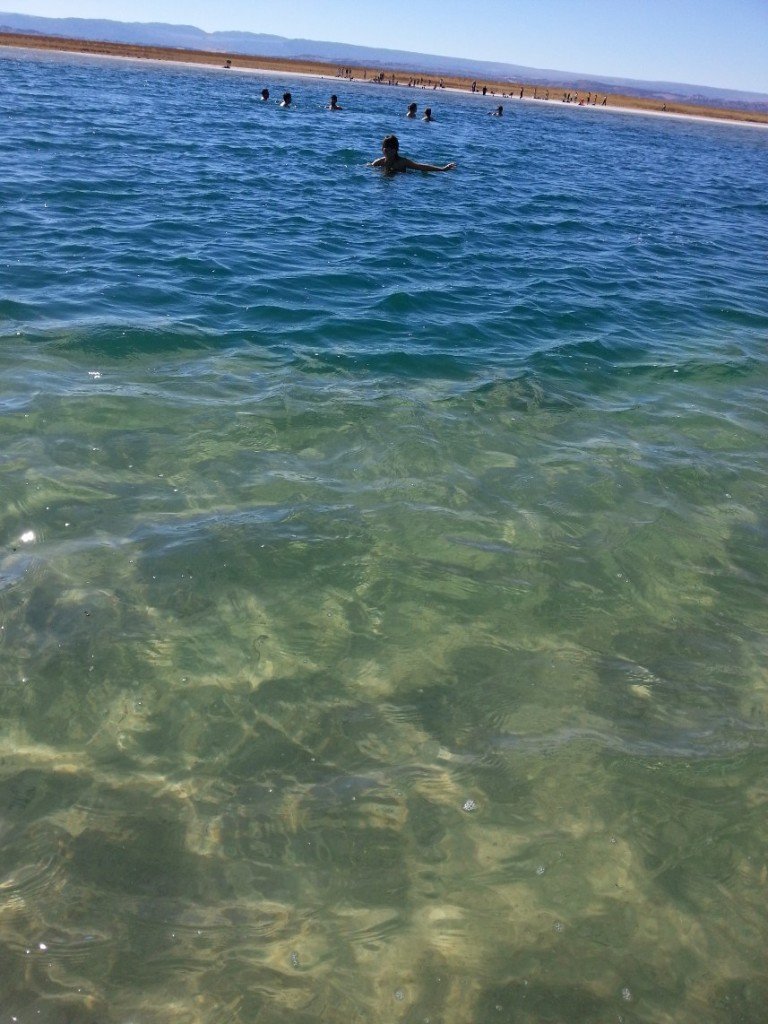 Laguna Cejar, no meio do Deserto do Atacama