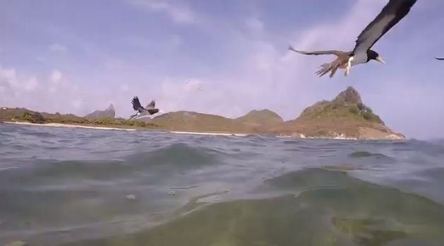 Praia do Sueste, Noronha