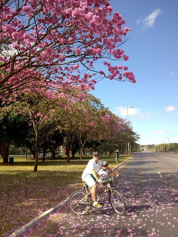 Andando de bike no Eixão do Lazer, Brasília