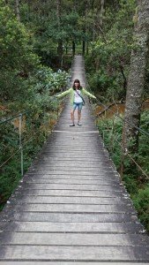 Ponte pênsil em Trilha no Horto Florestal, Campos do Jordão