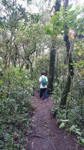 Trilha da Pedra Redonda, Monte Verde