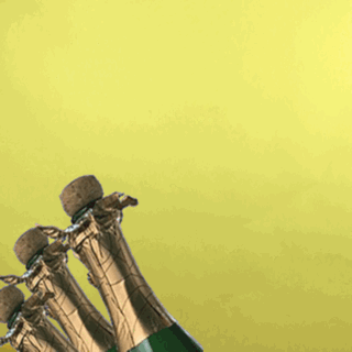 Gif de espumante e mulher