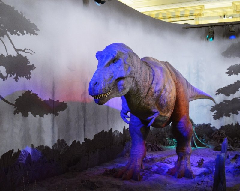 Museu de História Natural, em Londres