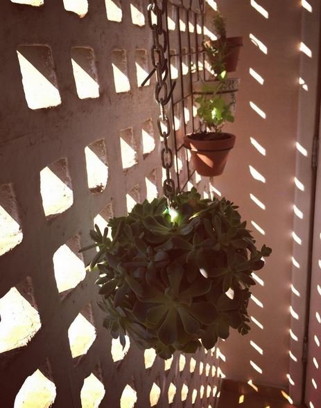 Cobogó - uma característica de Brasília - Foto: Geórgia Moraes