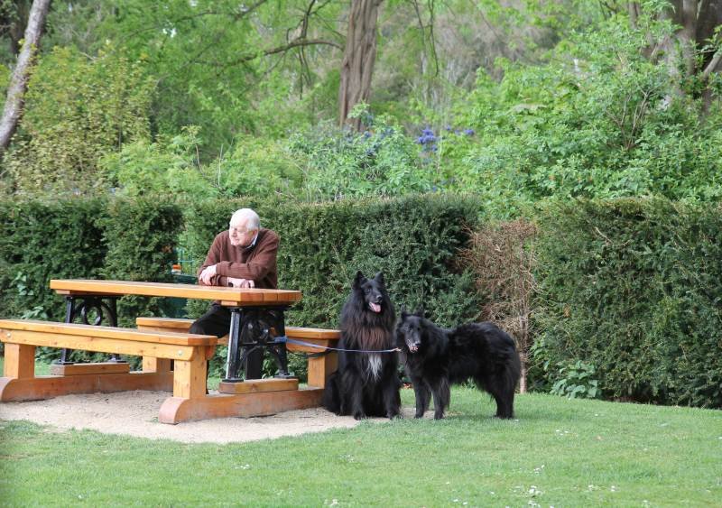 Domingão perto de Malahide