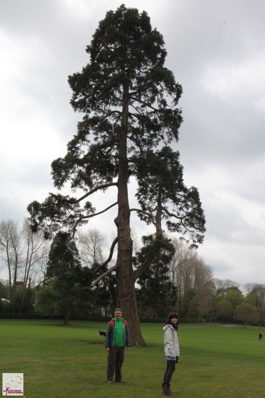 Jardim próxima a Malahide Jardim próxima a Malahide