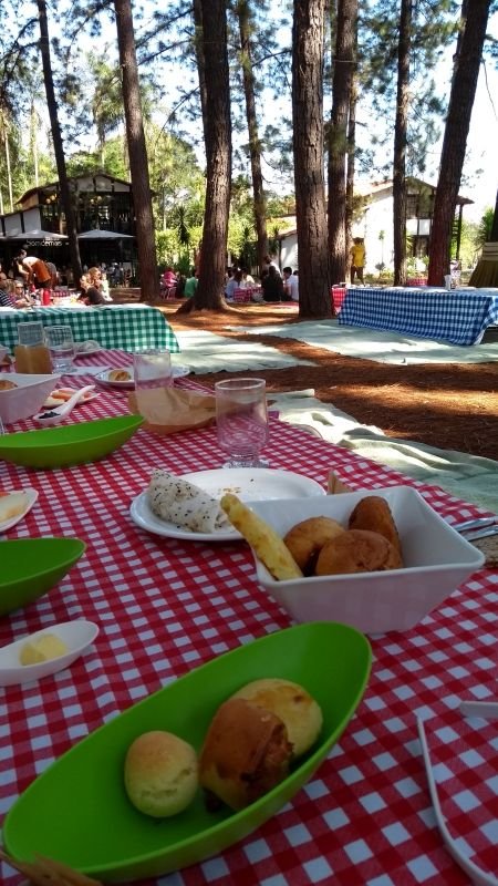 Café da manhã no Jardim Bom Demais, Jardim Botânico de Brasília Café da manhã no Jardim Bom Demais, Jardim Botânico de Brasília