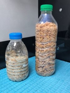 garrafas vazias reaproveitadas