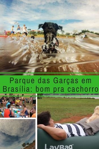 Parque das Garças: Bom pra Cachorro 
