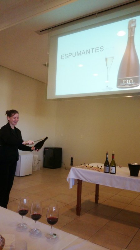 Fazendo curso de vinhos na Casa Valduga