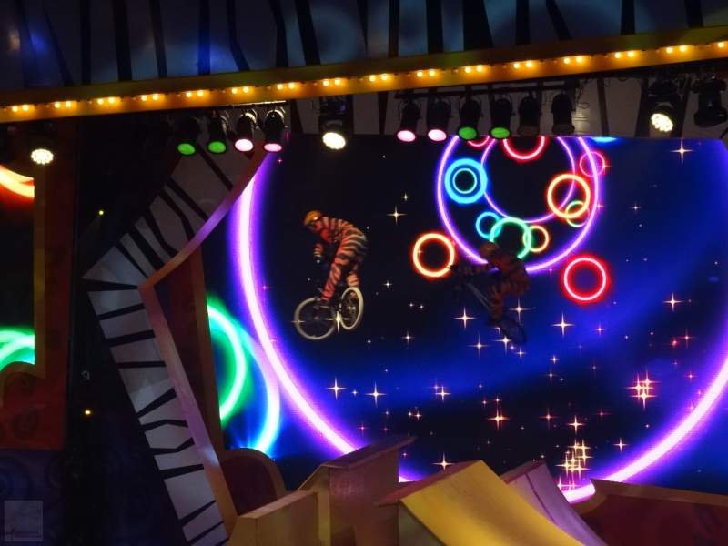 Show Madagascar - Beto Carrero