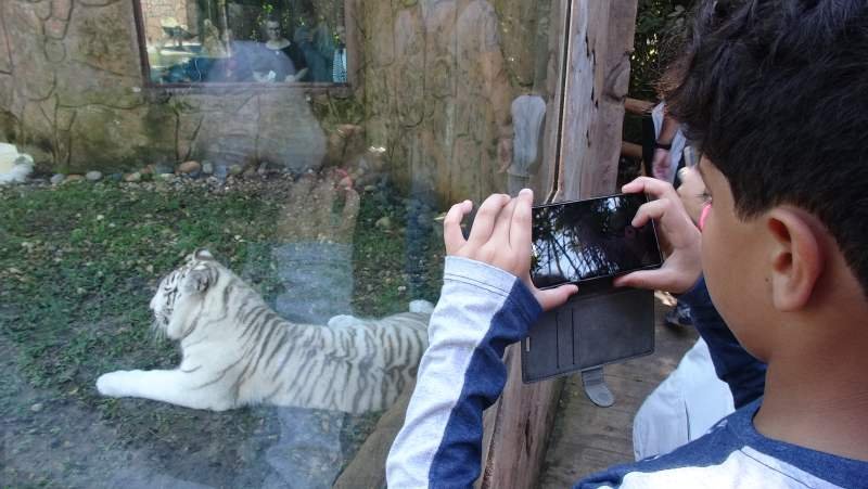 Zoológico do Beto Carrero