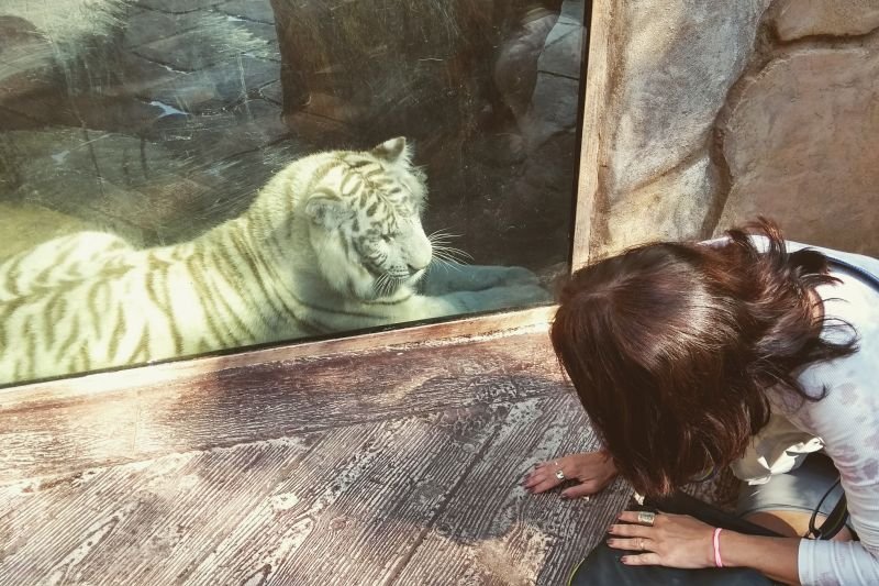 Zoológico do Beto Carrero