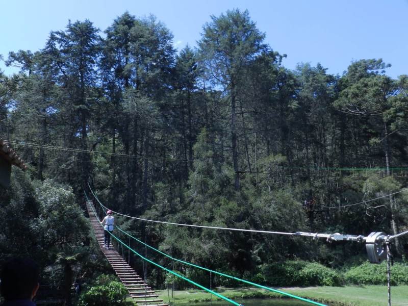 Horto Florestal - Campos do Jordão Horto Florestal - Campos do Jordão