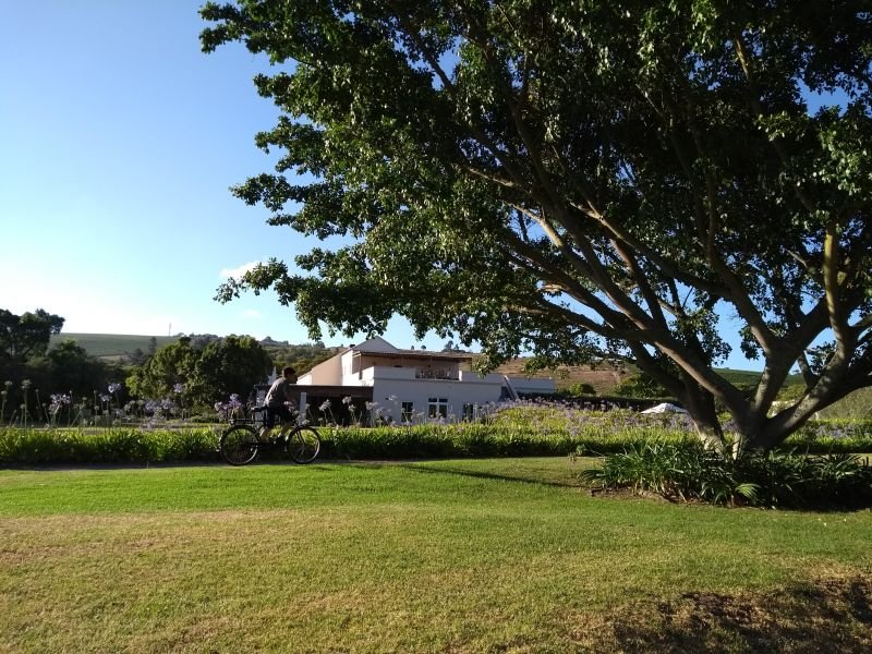Vinícola Spier - Stellenbosch - África do Sul