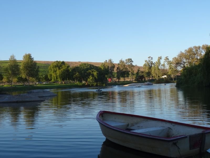 Piquenique na Vinícola Spier - Stellenbosch - África do Sul
