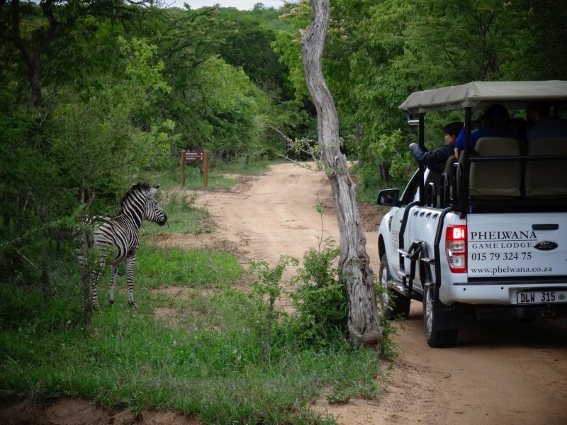Game Drive particular no Phelwana Game Lodge, África do Sul