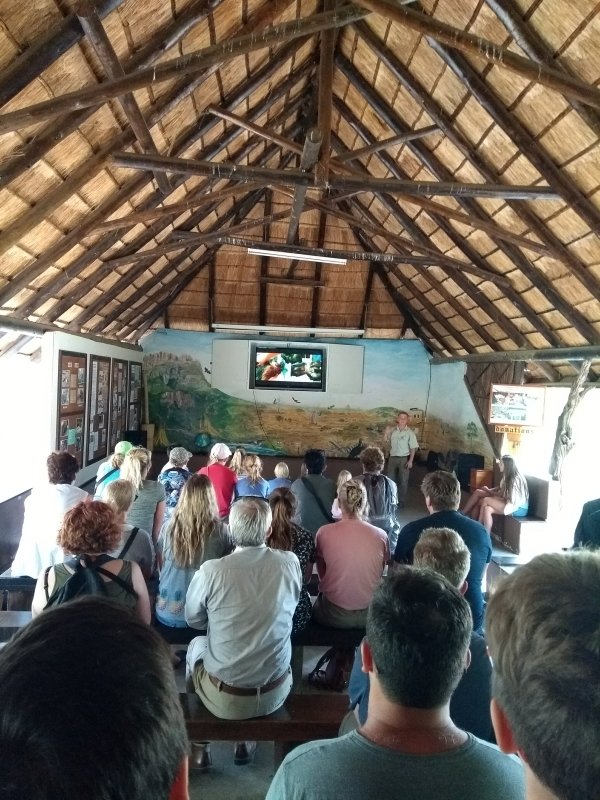 Auditório do Moholoholo - reabilitação de animais selvagens