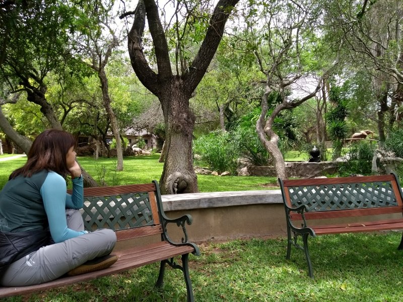 Jardim do Phelwana Game Lodge