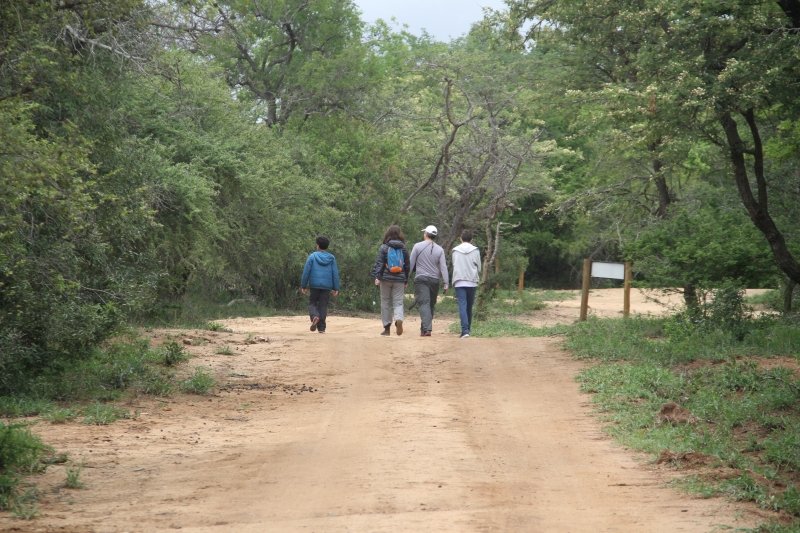 Caminhando para nossa cabana, no Phelwana Game Lodge