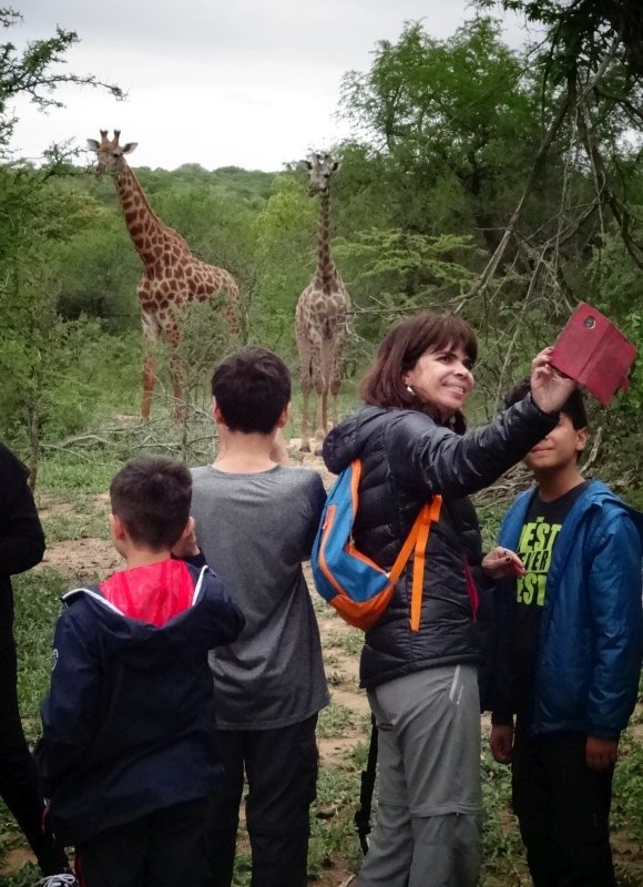 Girafas no Phelwana Game Lodge