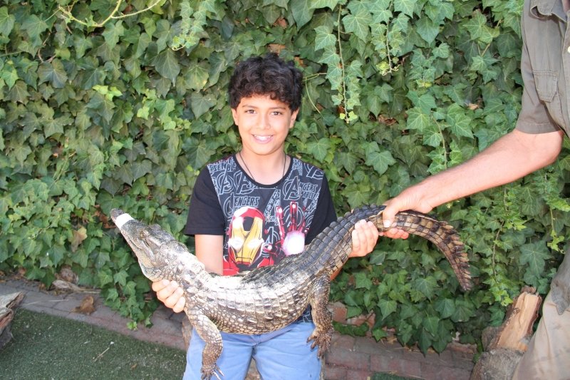 Fazenda de crocodilos na África
