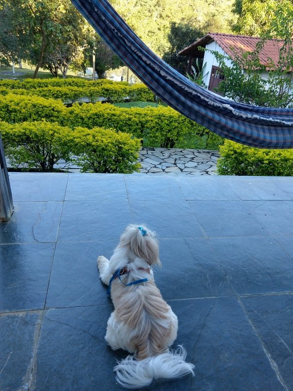 Palomita no Hotel Fazenda Raizama Palomita no Hotel Fazenda Raizama