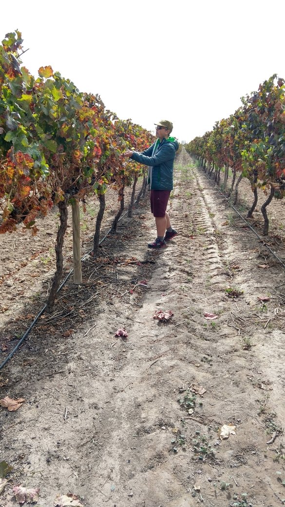 Bodega Trivento - Maipú - Mendoza