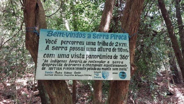 Morro da Piraoca - Alter do Chão/PA Morro da Piraoca - Alter do Chão/PA