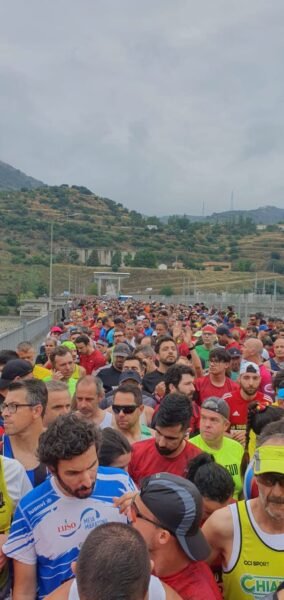Meia Maratona Douro Vinhateiro