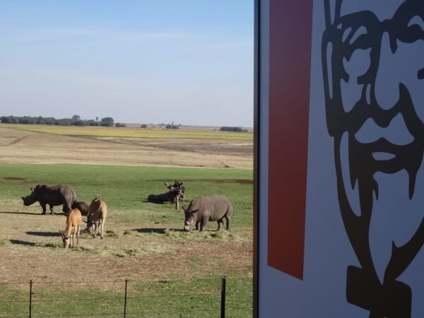 Posto Alzu na África do Sul