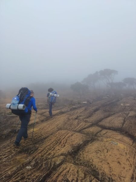 Trilha para o Pico da Bandeira Trilha para o Pico da Bandeira