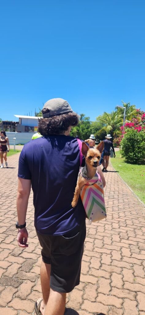 Nala passeando na Praia do Forte